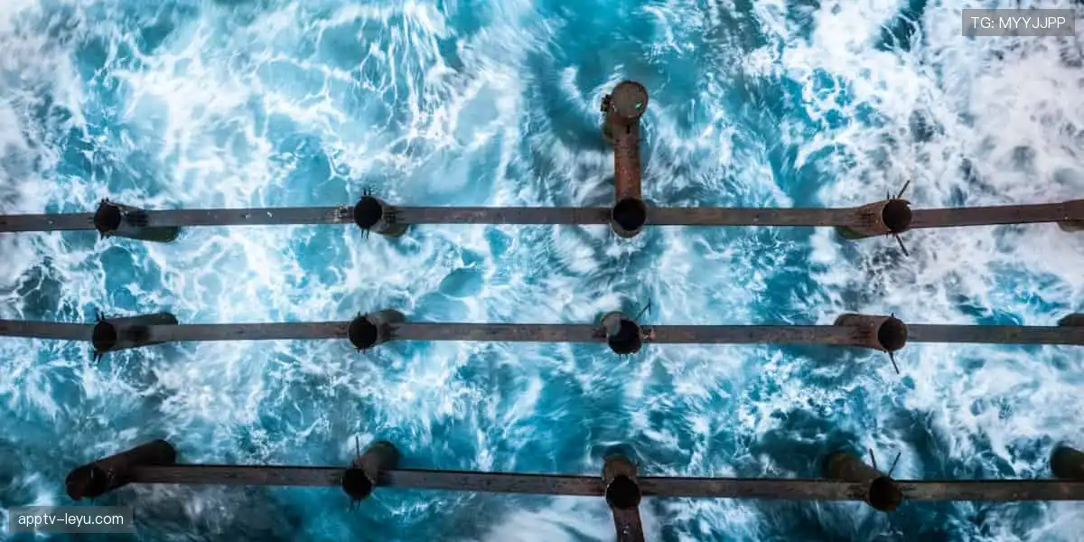 ⚽️赛事报名,即刻开启你的冠军之路!